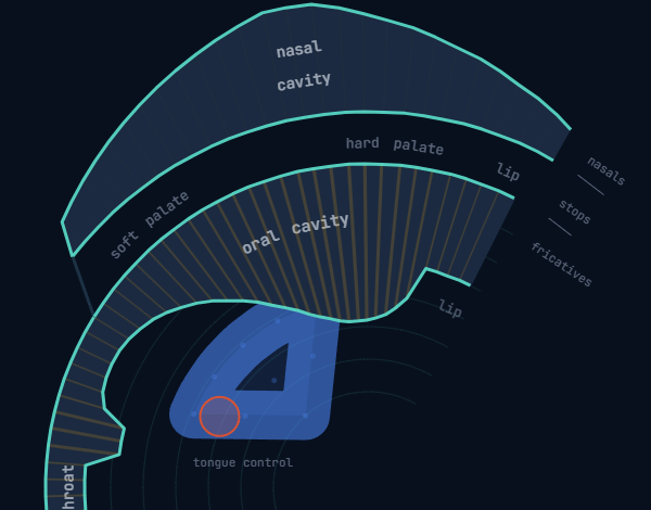 Vocal Tract model